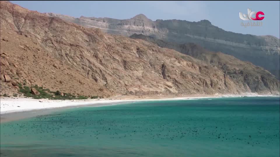البرنامج الثقافي - أبجديات ثقافية - الحلقة 6