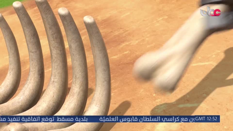 مسلسل الاطفال فريق الحماية - الحلقة 36