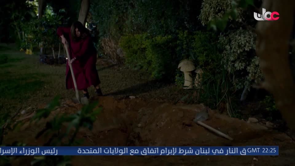 المجهر