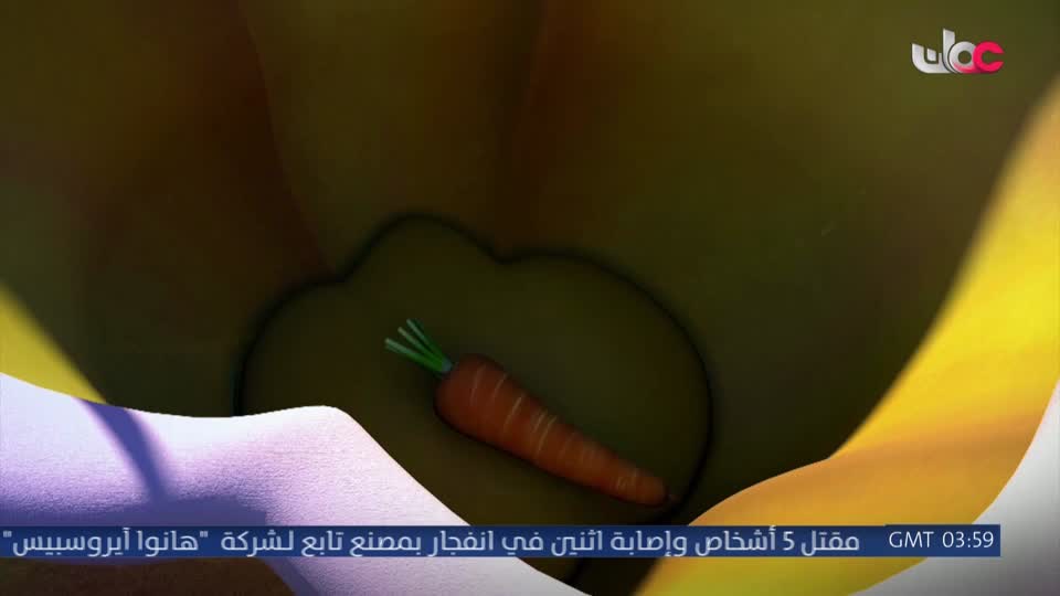مسلسل الاطفال فريق الحماية - الحلقة 36