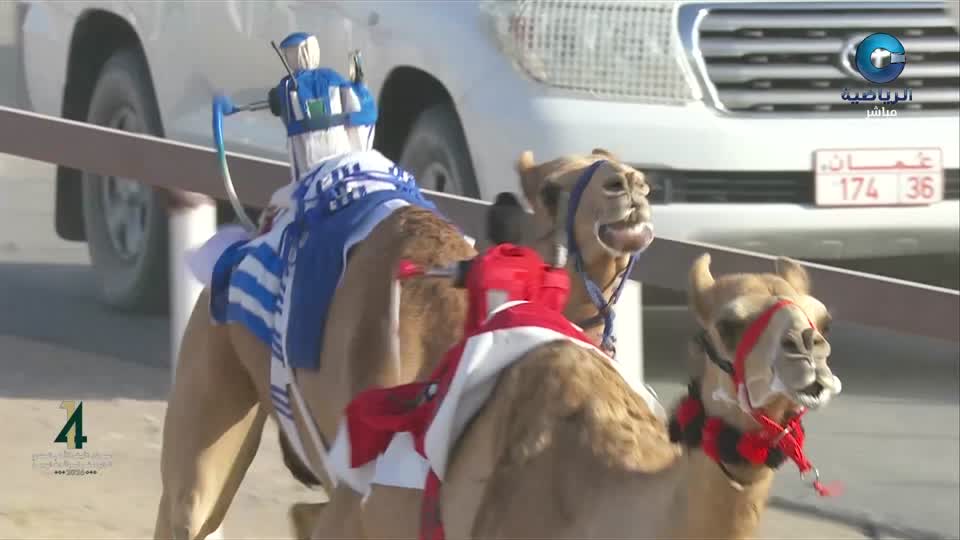 مهرجان الأبيض الأهلي السنوي الرابع عشر لسباقات اله