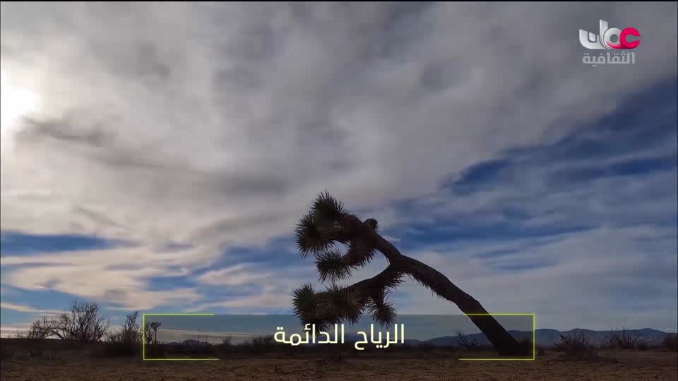 برنامج ثقافي - صنعة - الحلقة 6