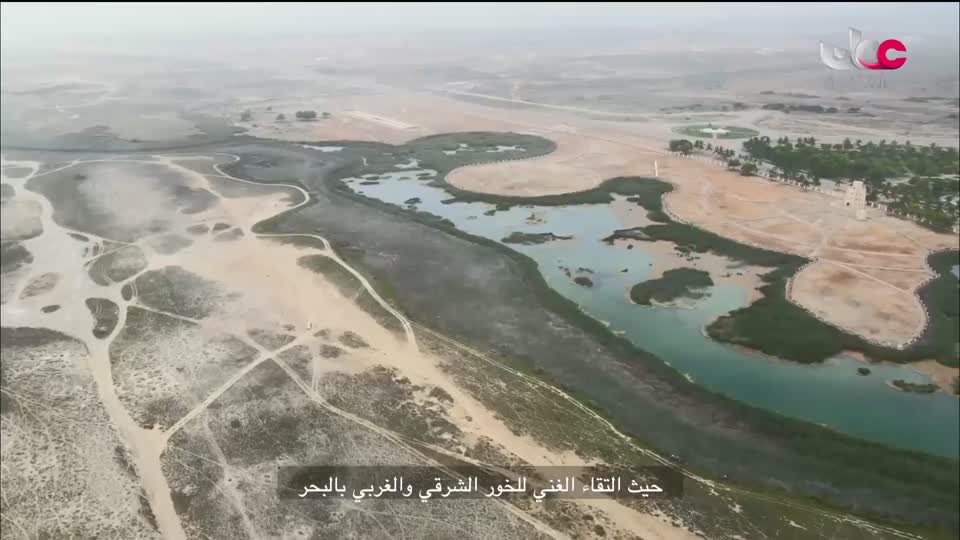 البرنامج الثقافي مقاهي عتيقة - الحلقة 6
