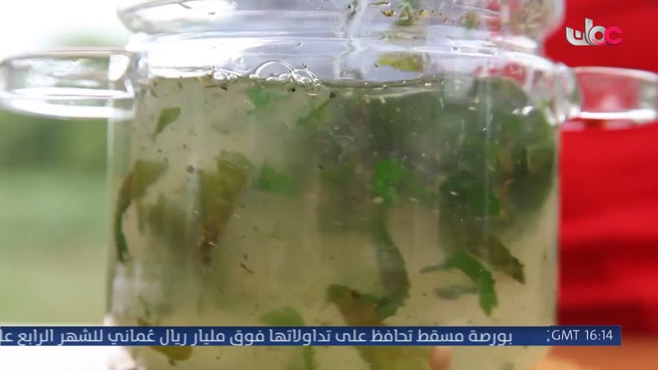 حديقة الشيف