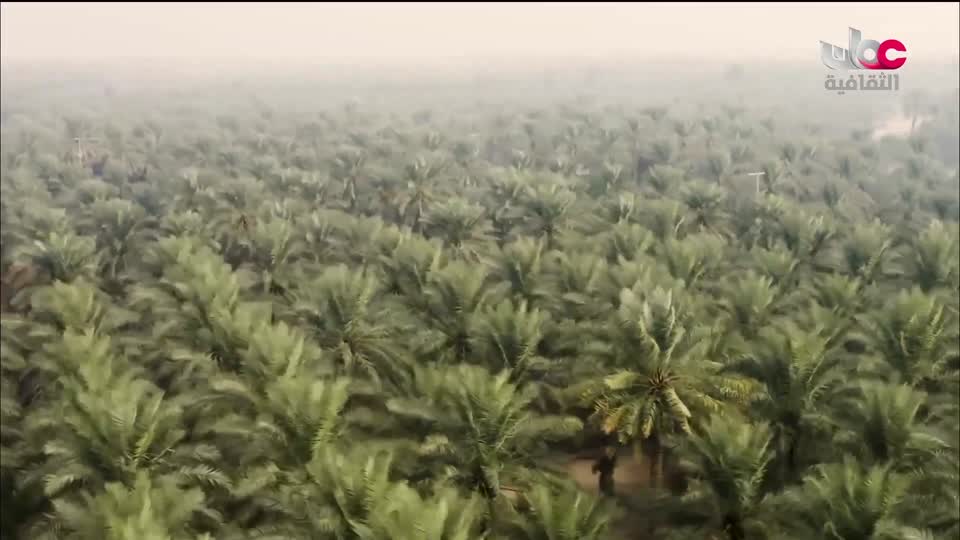 برنامج ثقافي - صنعة - الحلقة 8