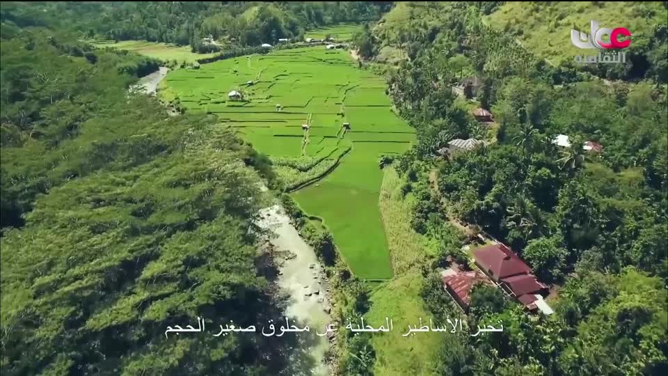 حواضر آسيا