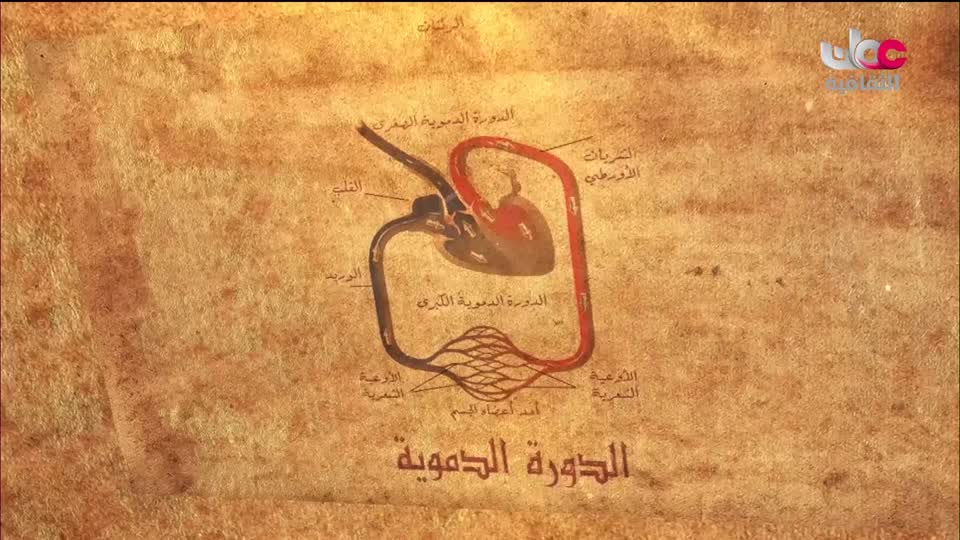 برنامج _ رحلة المخطوط العربي _ج2 - الحلقة 13