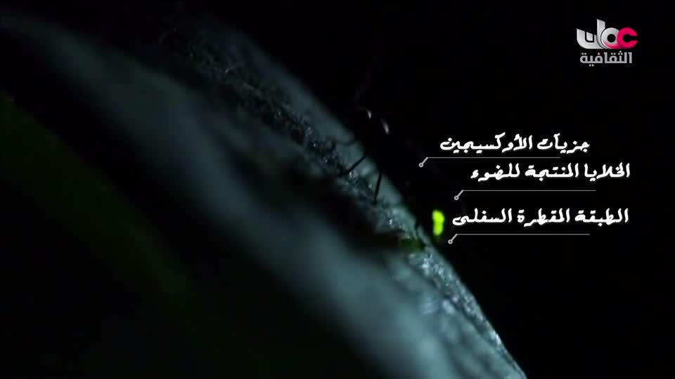 سبحانك ربي - الحلقة 15