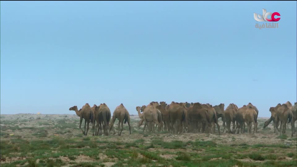 برنامج - أقنعة وكنوز - الحلقة 4
