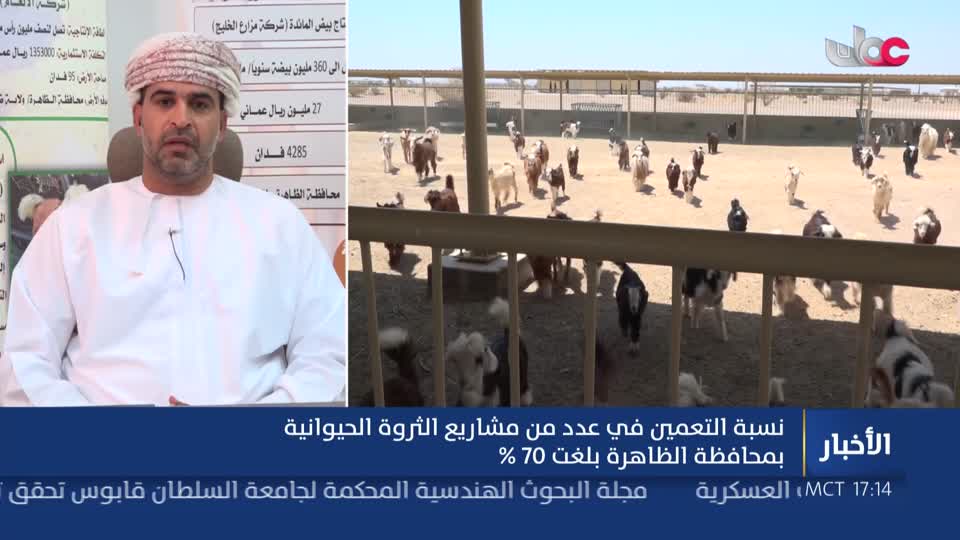 أخبار عمان