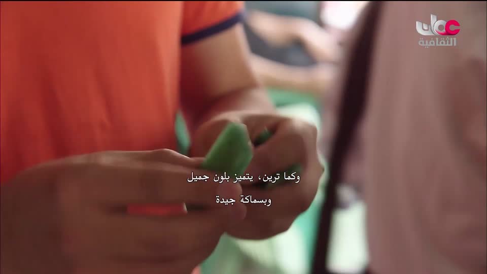 البرنامج الثقافي - أبجديات ثقافية - الحلقة 15