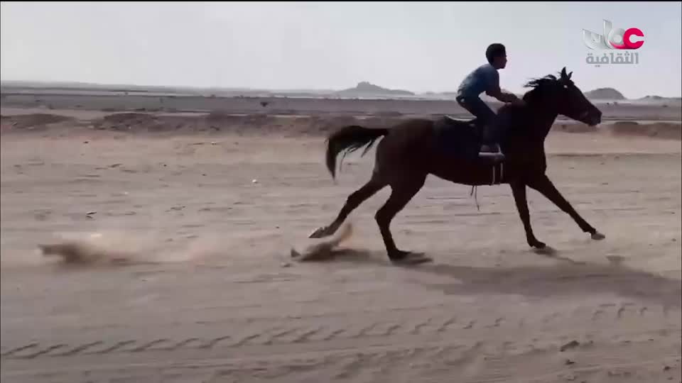 برنامج ثقافي - صنعة - الحلقة 5