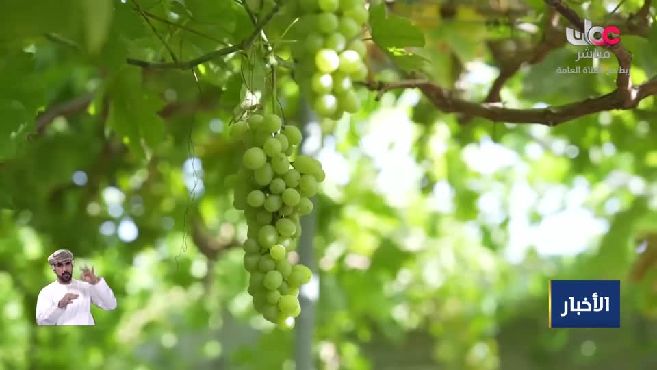 حديث الشباب