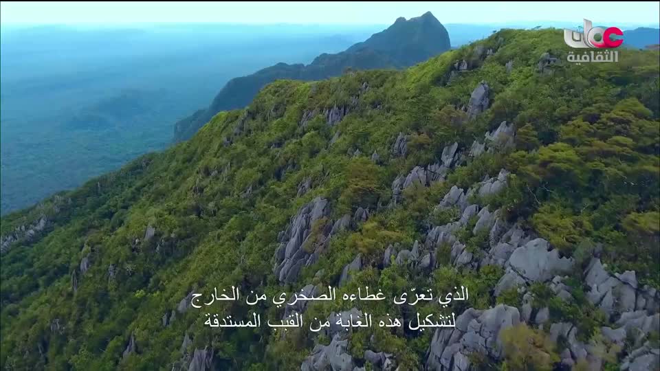 سبحانك ربي - الحلقة 26