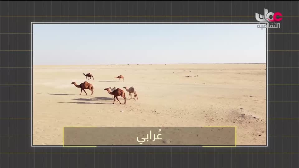 برنامج - كنوز الصحراء - الحلقة 20