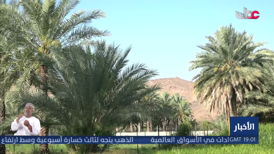 الأفلام العربية
