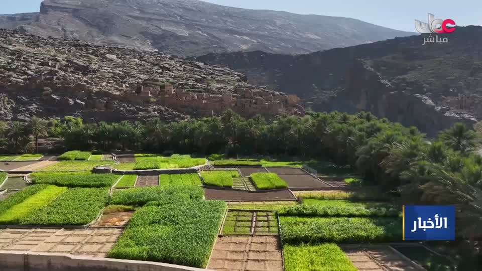 سؤال اهل الذكر