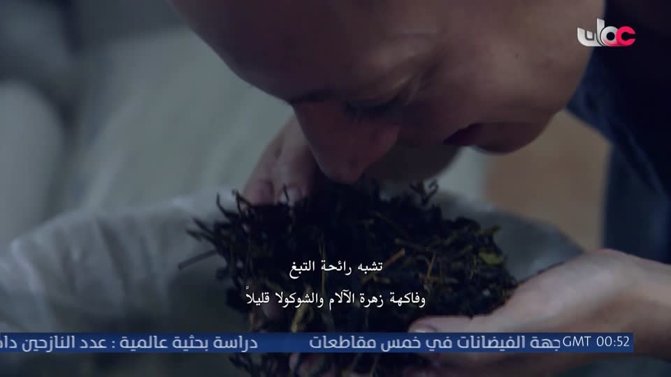 قرآن كريم
