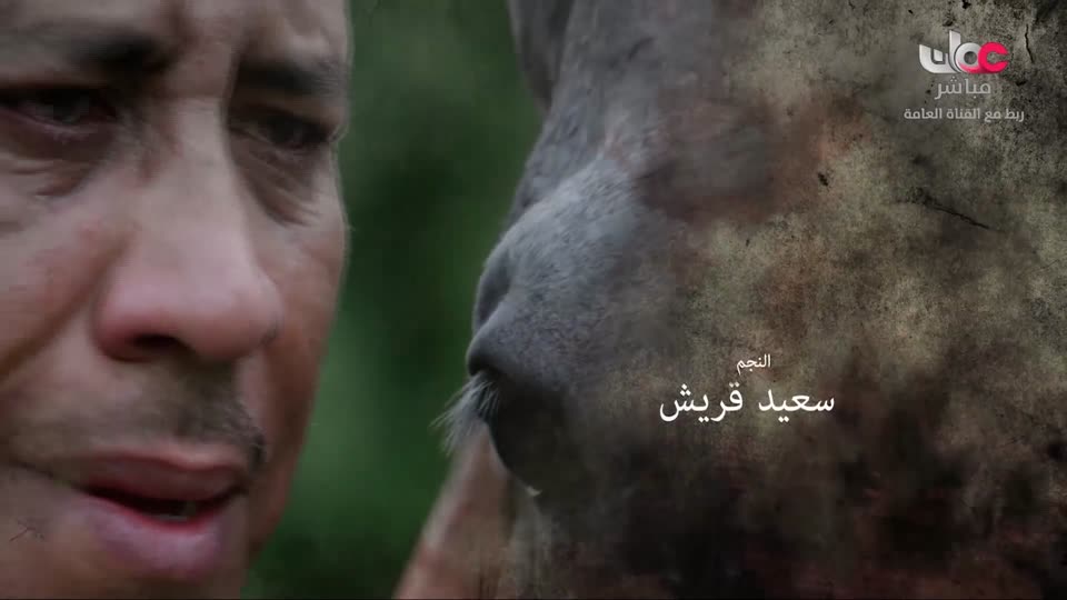 المسلسل المحلي - سدرة - الحلقة 13