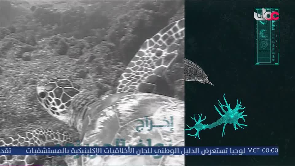 مناشدة