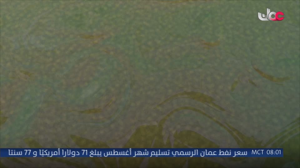 فريق الحماية