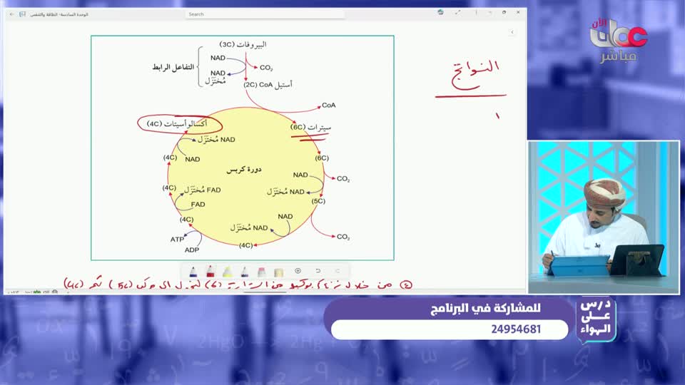 حديث الشباب