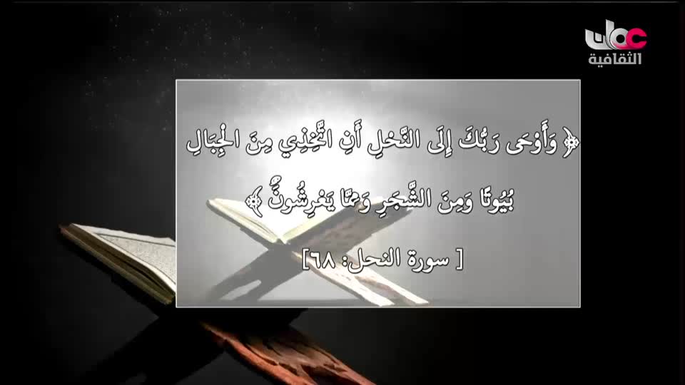 برنامج _ رحلة المخطوط العربي - الحلقة 7