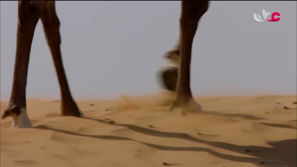 البرنامج الثقافي - غرائب الصحاري - الحلقة 3