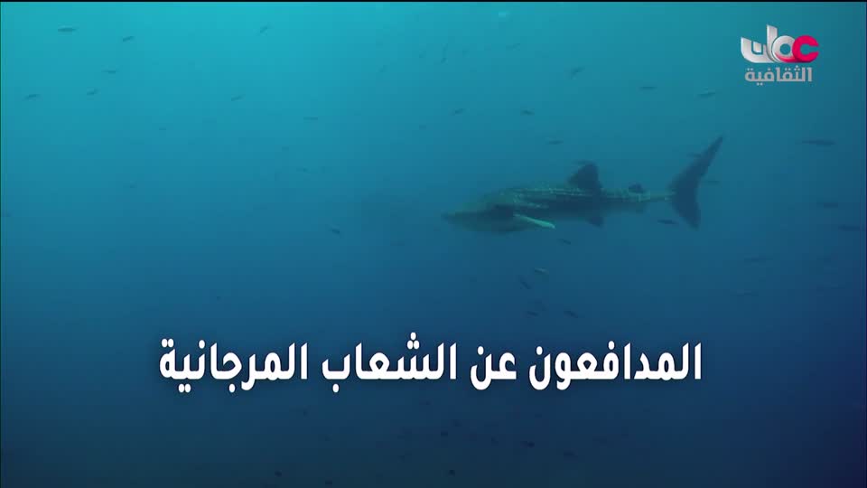 البرنامج الثقافي - غرائب البحار - الحلقة 4