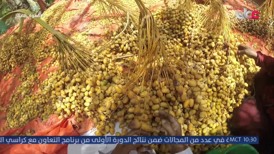 برنامج قهوة الصباح 2026 - الحلقة 105
