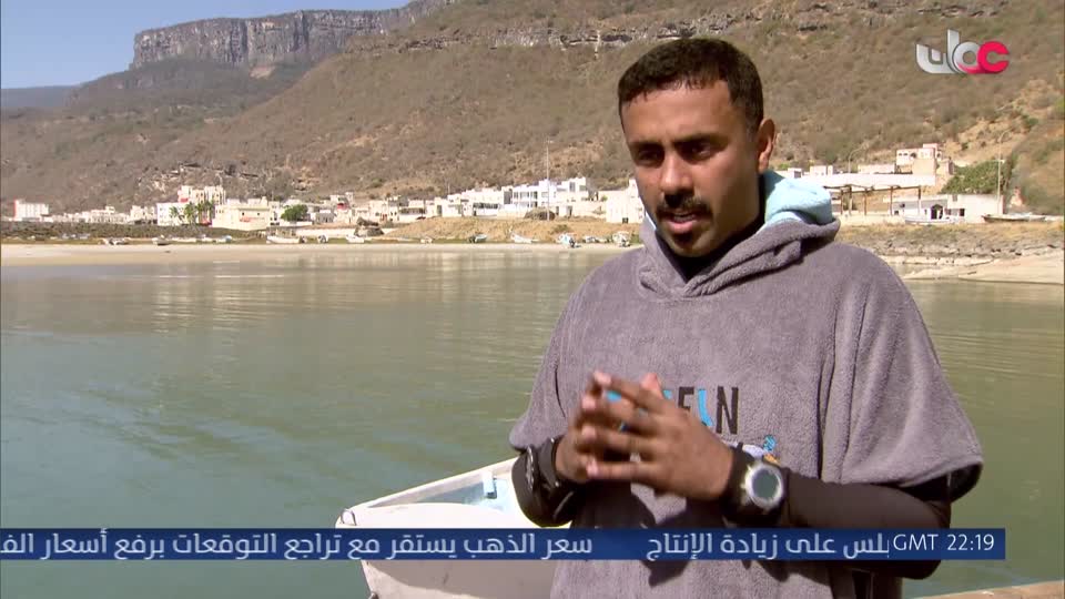 المجهر