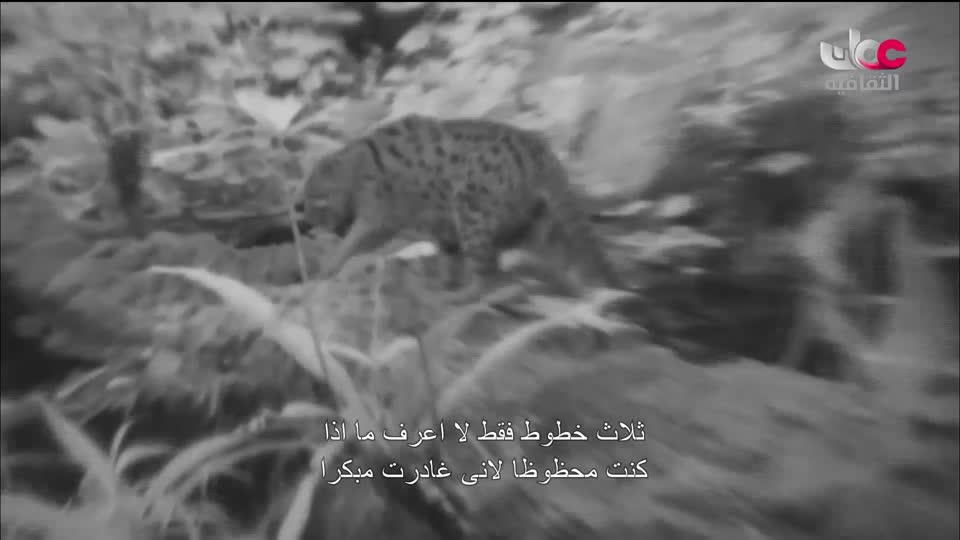 البرنامج الثقافي _ عشاق السفر - الحلقة 9