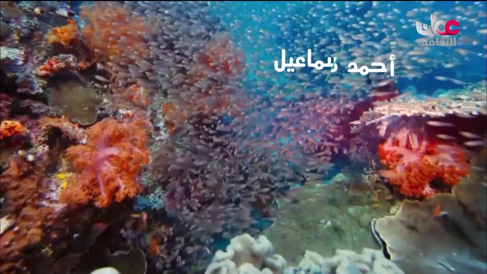 برنامج _ رحلة المخطوط العربي - الحلقة 29
