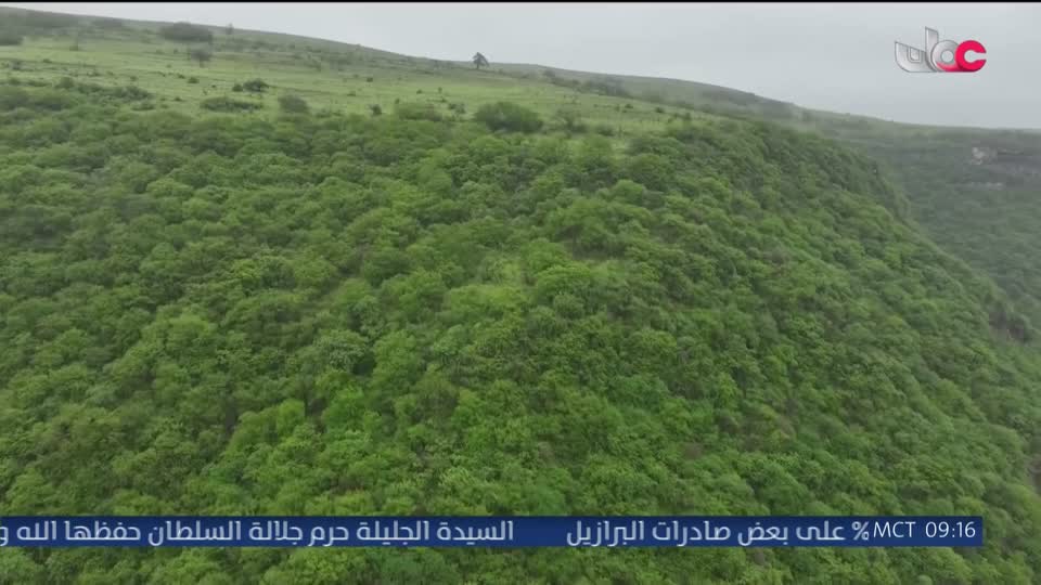 المسلسل المصري - دنيا تانيه - الحلقة 21