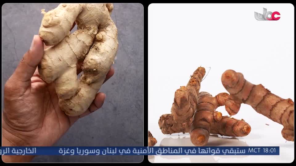 البرنامج العلمي - حصاد - الحلقة 3