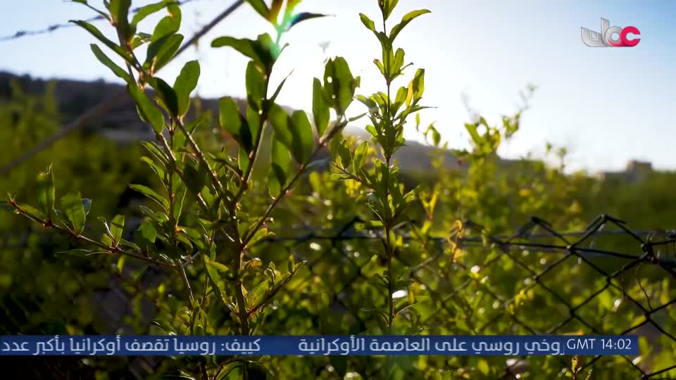 البرنامج العلمي - حصاد - الحلقة 5