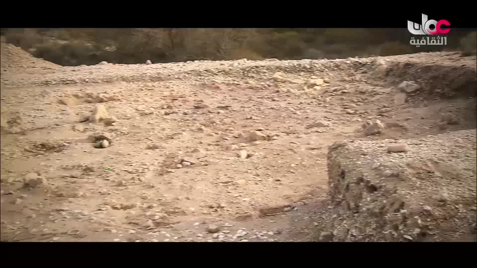 البرنامج الثقافي داخل الأشياء