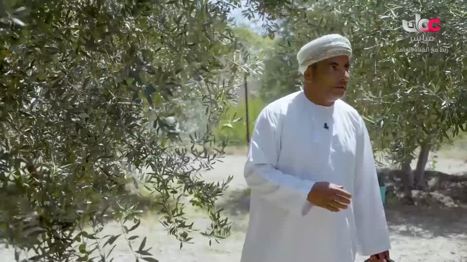 البرنامج العلمي - حصاد - الحلقة 23