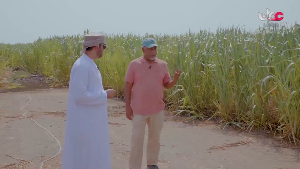 برنامج - كنا هنا - الموسم الثاني - الحلقة 9