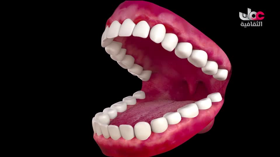 البرنامج الثقافي - زيوت عطرية - الحلقة 16