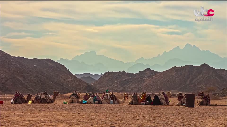 برنامج ثقافي - صنعة - الحلقة 4