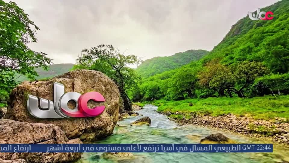 المسلسل الخليجي - ورود ملونة