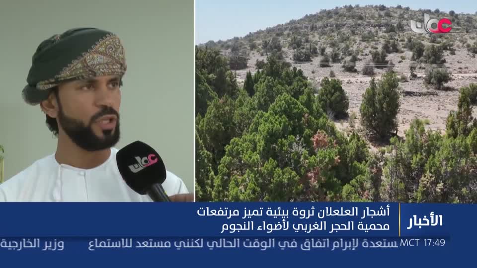 أشجار العلعلان ثروة بيئية تميز مرتفعات محمية الحجر الغربي لأضواء النجوم