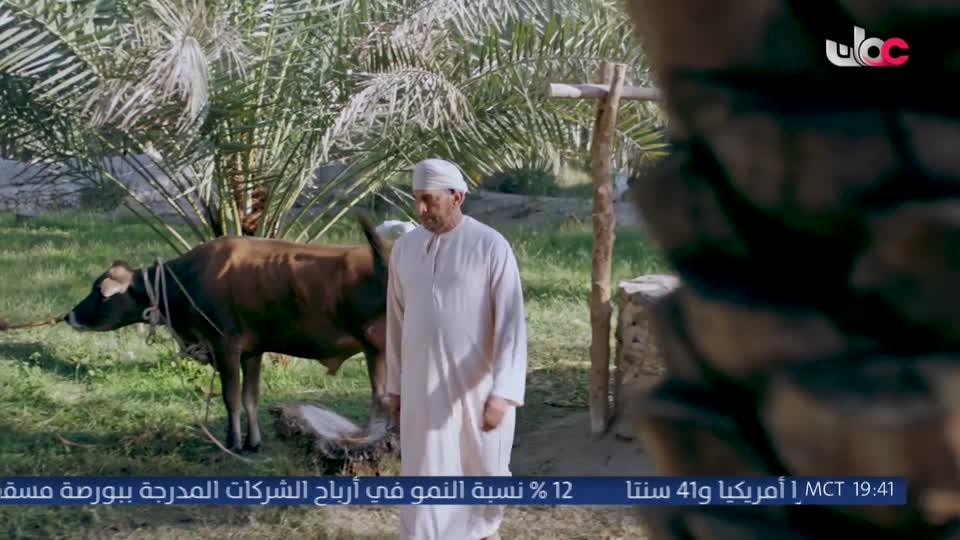 المسلسل المصري - دنيا تانيه - الحلقة 29