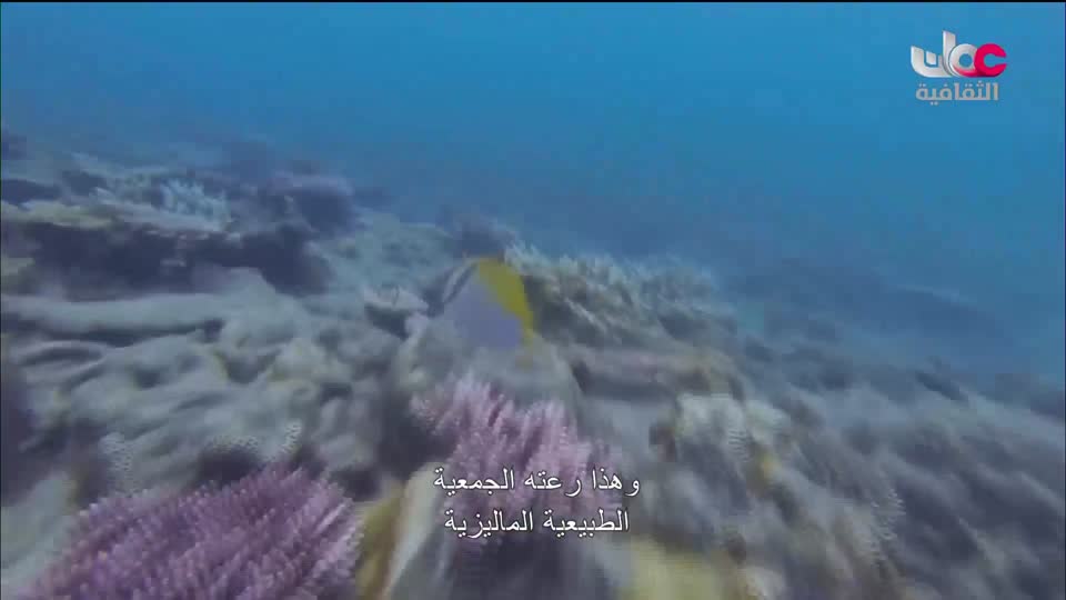 البرنامج الثقافي _ عشاق السفر - الحلقة 5