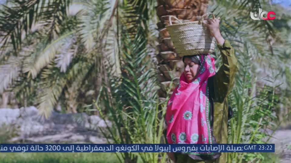 ورود ملونة
