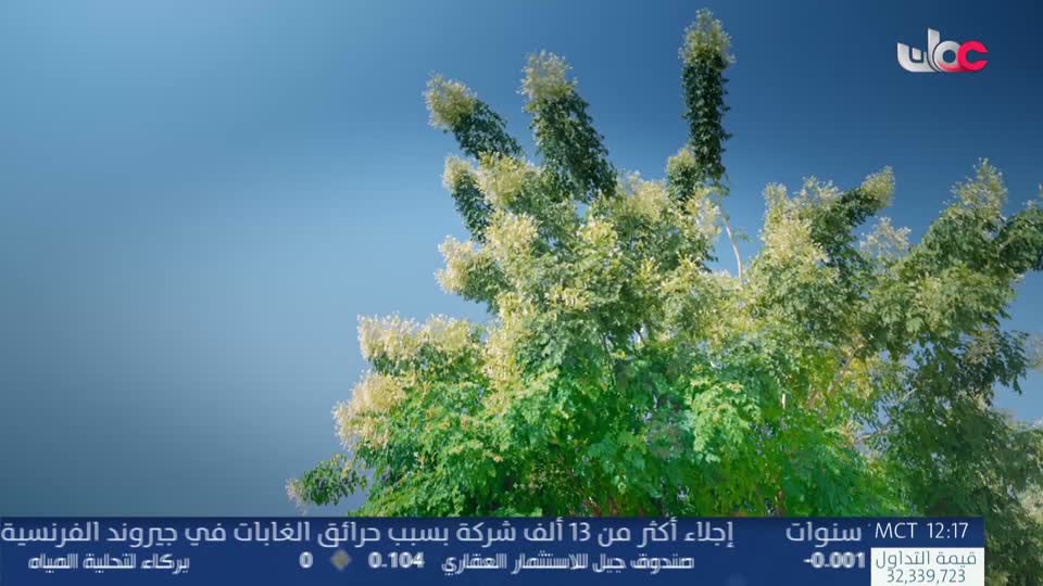 اذان الظهر