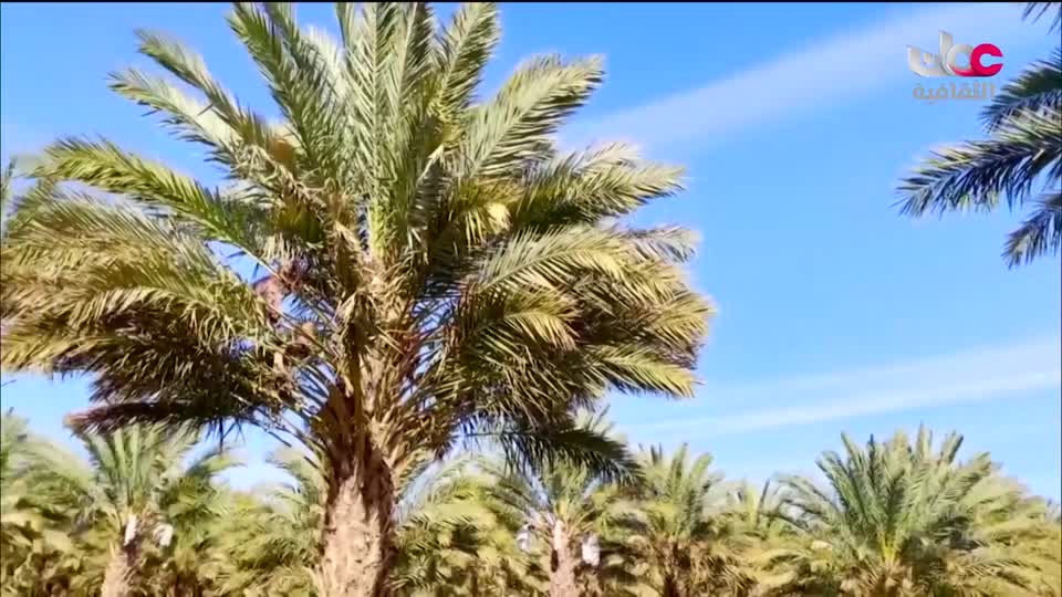 الزراعة من اجل الكوكب - الحلقة 10