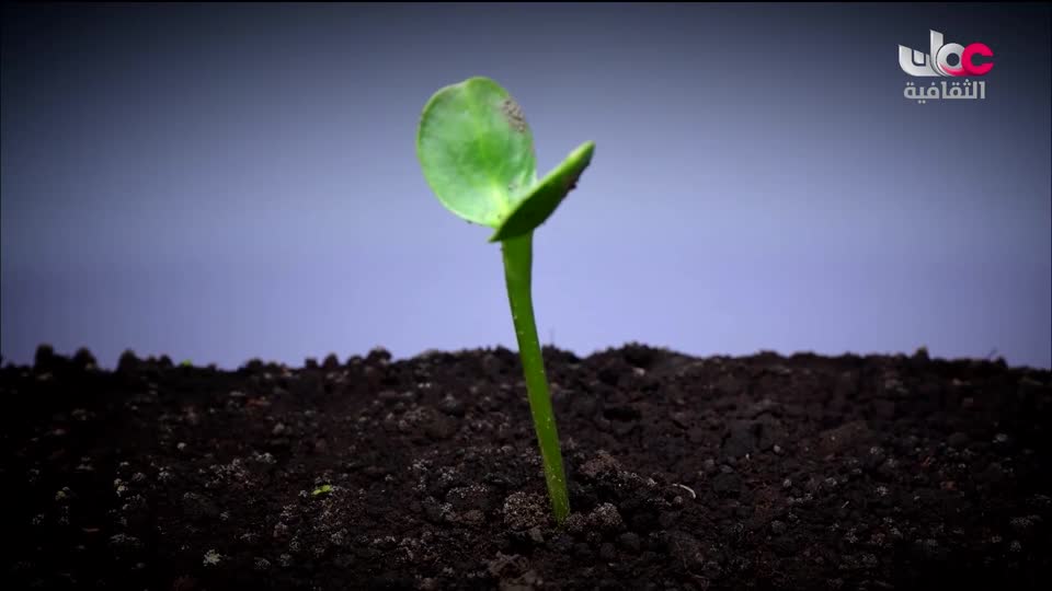 البرنامج الثقافي الآثار الاسلامية في الأندلس