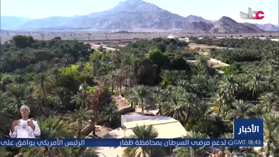 Show details-أخبار العاشرة - الأحد 2 أغسطس 2026م